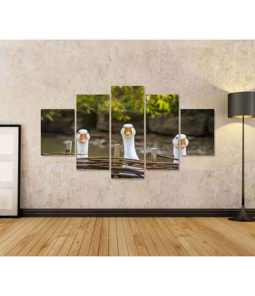 Islandburner Bild auf Leinwand Drei heitere weiße Gänse hinter einem Flechtzaun auf einem Wandbild Bis zu 60% Rabatt