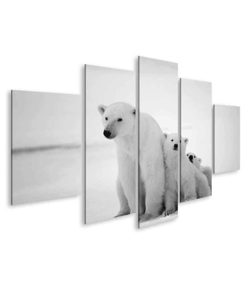 Islandburner Bild auf Leinwand Eisbär-Mutter mit Jungen in der eisigen Arktis - Polarbär Wandbild