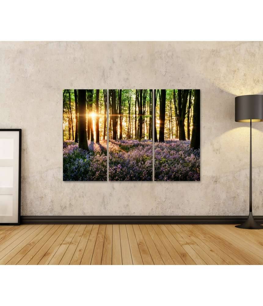 Islandburner Bild auf Leinwand Morgenlicht erweckt blühende Glockenblumen im Wald zum Leben Schlussverkauf