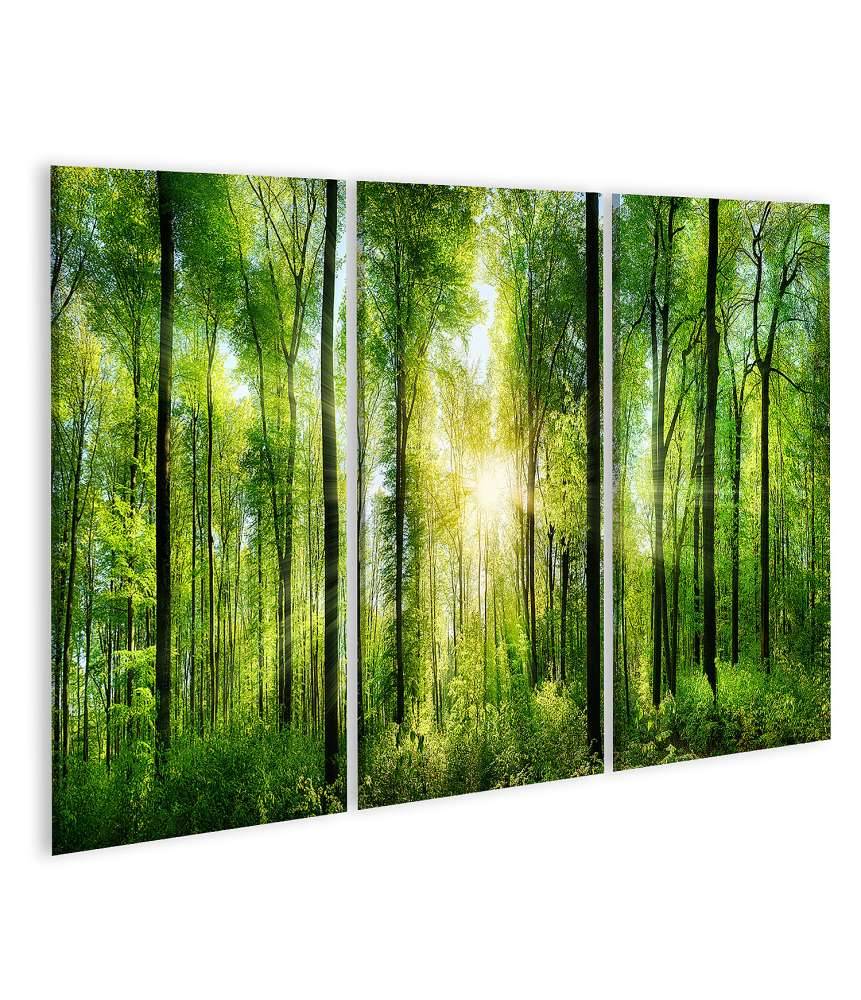 Islandburner Bild auf Leinwand Panoramabild eines frischgrünen Waldes mit Sonnenstrahlen durch Laubbäume Blitzverkäufe