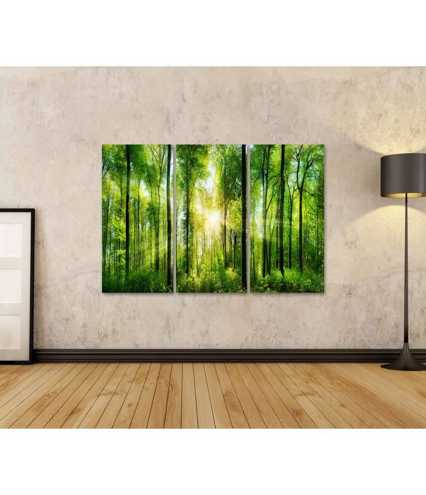 Islandburner Bild auf Leinwand Panoramabild eines frischgrünen Waldes mit Sonnenstrahlen durch Laubbäume Blitzverkäufe