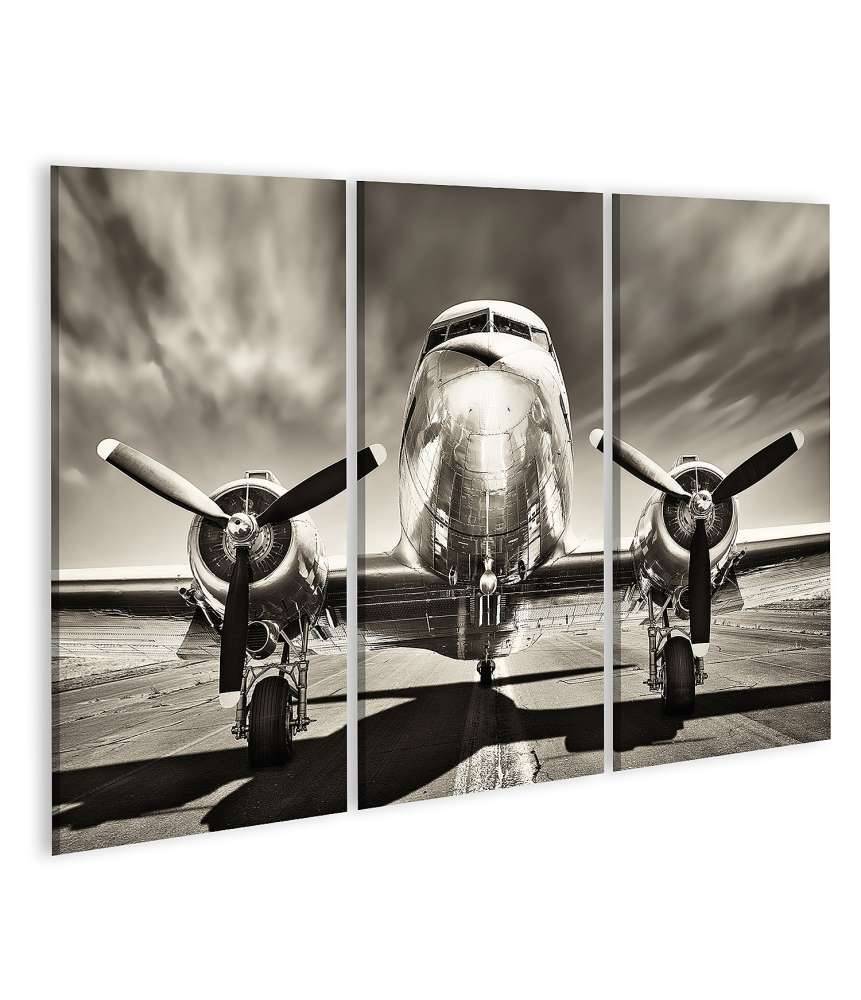 Islandburner Bild auf Leinwand Monochromes Retro-Wandbild eines Propellerflugzeugs