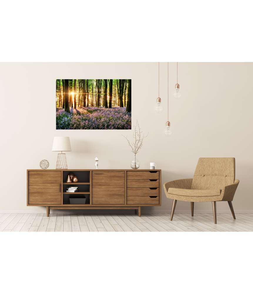 Islandburner XXL Premium Poster Morgenlicht erweckt blühende Glockenblumen im Wald zum Leben Wochenangebot