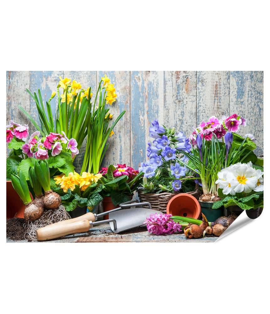 Islandburner XXL Premium Poster Buntes Wandbild von Garten mit Frühlingsblumen für Hobbygärtner