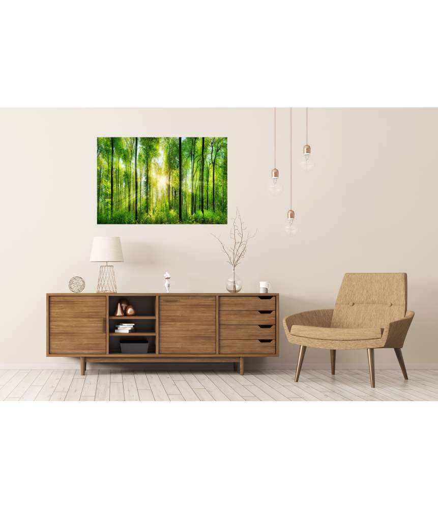 Islandburner XXL Premium Poster Panoramabild eines frischgrünen Waldes mit Sonnenstrahlen durch Laubbäume JETZT KAUFEN