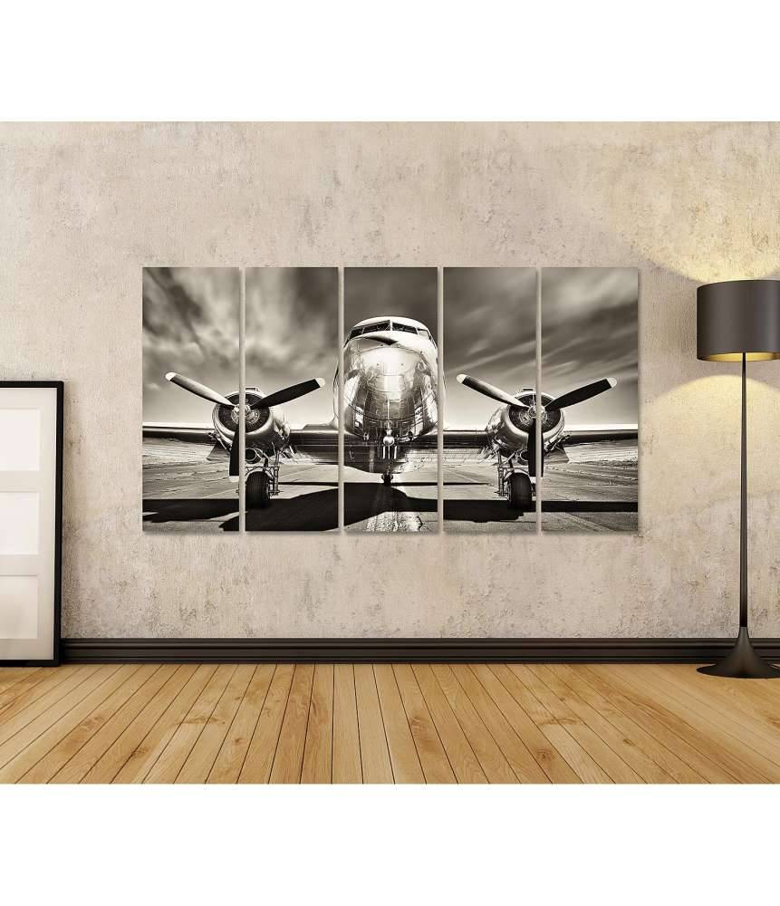 Islandburner Bild auf Leinwand Monochromes Retro-Wandbild eines Propellerflugzeugs Clearance-Verkauf