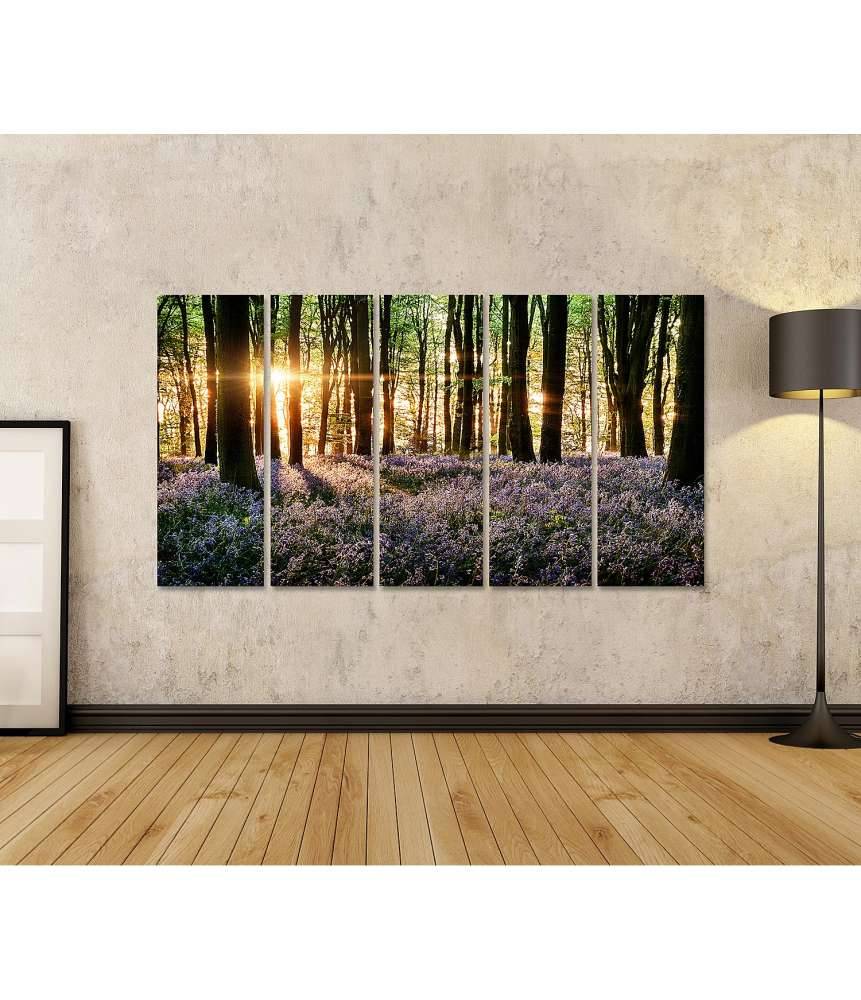 Islandburner Bild auf Leinwand Morgenlicht erweckt blühende Glockenblumen im Wald zum Leben Hotsell