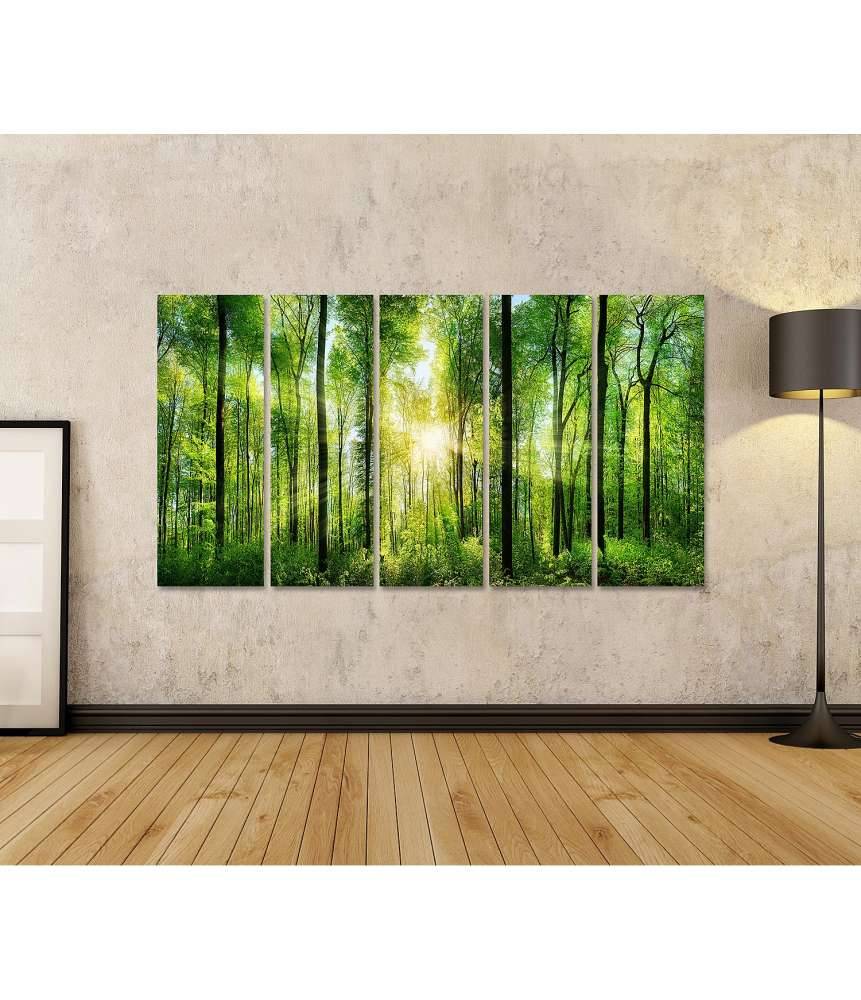 Islandburner Bild auf Leinwand Panoramabild eines frischgrünen Waldes mit Sonnenstrahlen durch Laubbäume Fabrikverkauf