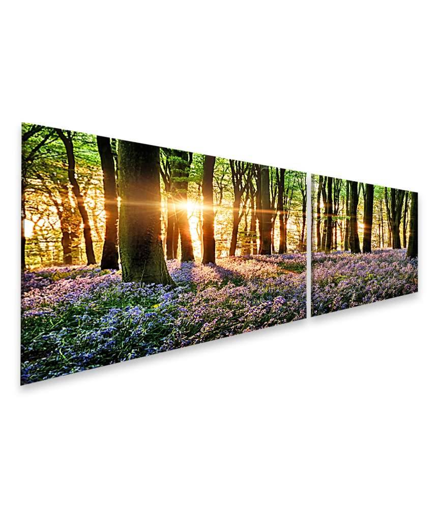 Islandburner Bild auf Leinwand Morgenlicht erweckt blühende Glockenblumen im Wald zum Leben