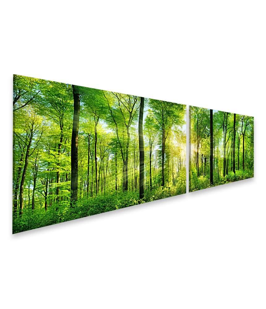 Islandburner Bild auf Leinwand Panoramabild eines frischgrünen Waldes mit Sonnenstrahlen durch Laubbäume