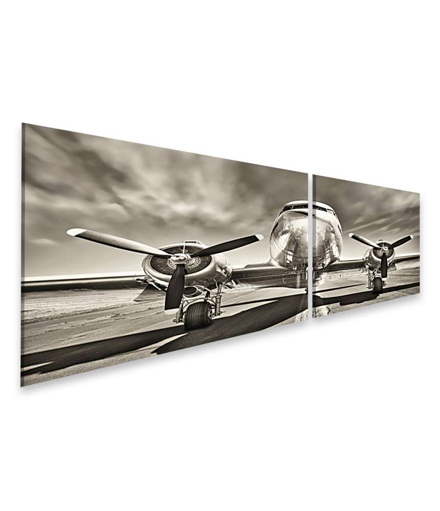Islandburner Bild auf Leinwand Monochromes Retro-Wandbild eines Propellerflugzeugs Preisnachlass