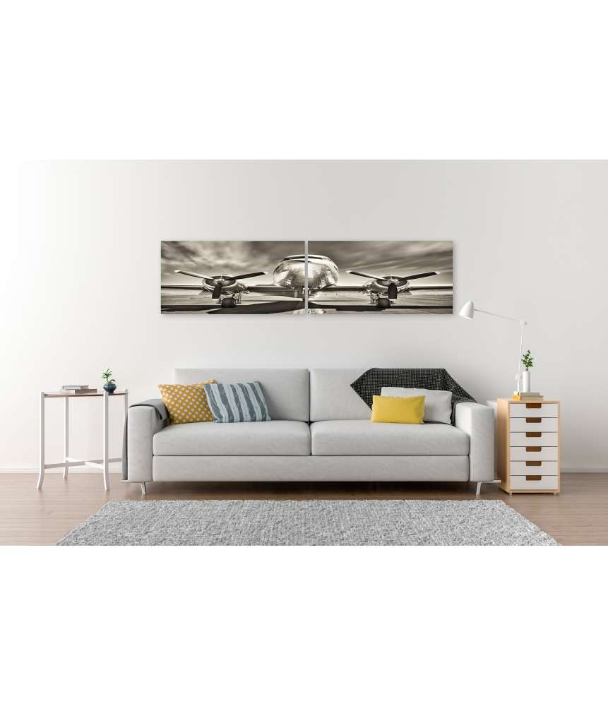Islandburner Bild auf Leinwand Monochromes Retro-Wandbild eines Propellerflugzeugs Preisnachlass
