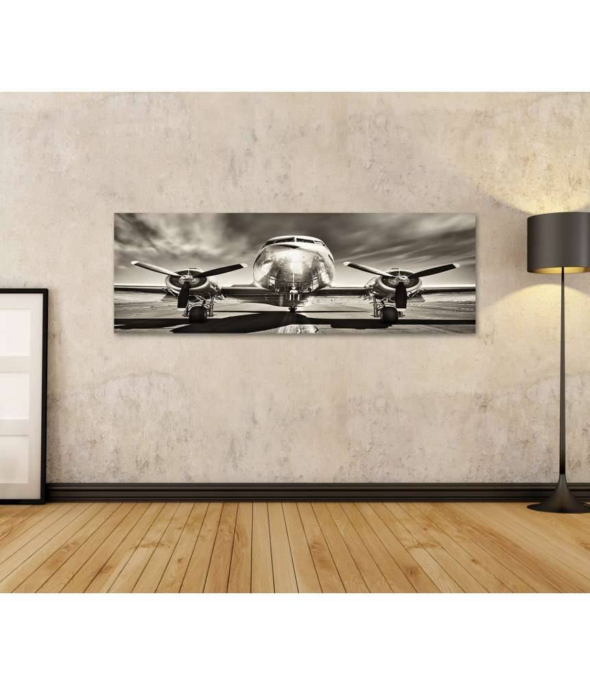 Islandburner Bild auf Leinwand Monochromes Retro-Wandbild eines Propellerflugzeugs VIP-Rabatte
