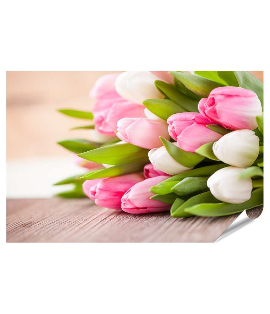 Islandburner Premium Poster Ein Strauß rosa-weißer Tulpen auf einem Tisch, elegant dargestellt Letzte 2 Tage