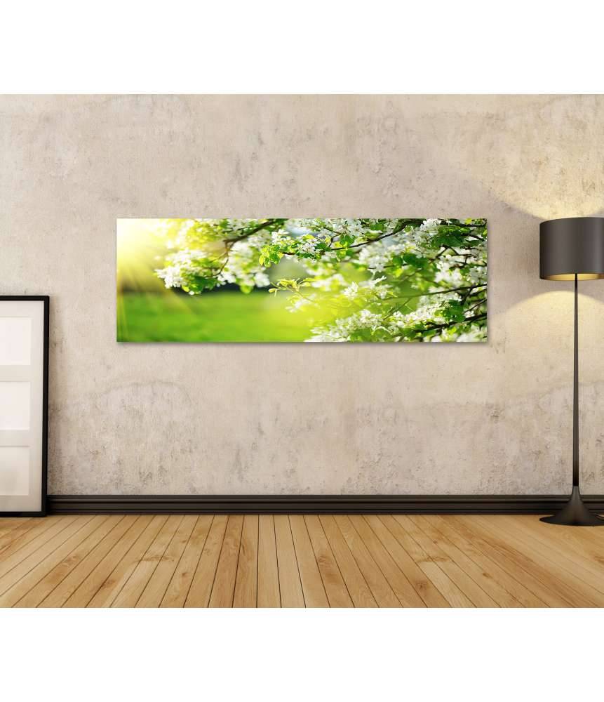 Islandburner Bild auf Leinwand Frühlingshaftes Wandbild mit blühendem Baum und Sonnenaufgang Rabatte dieses Monats