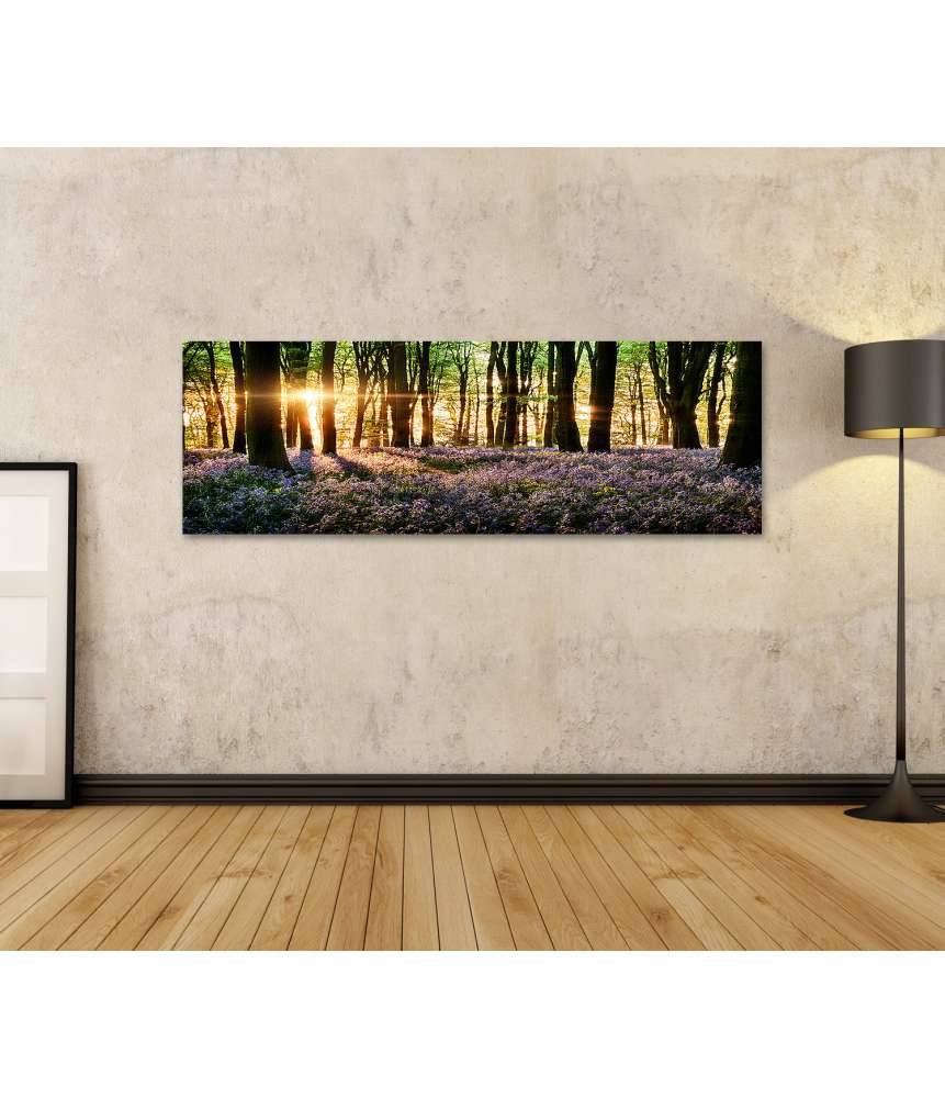 Islandburner Bild auf Leinwand Morgenlicht erweckt blühende Glockenblumen im Wald zum Leben Hotsell
