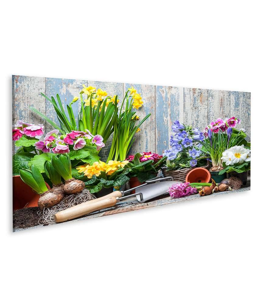 Islandburner Bild auf Leinwand Buntes Wandbild von Garten mit Frühlingsblumen für Hobbygärtner Schlussverkauf