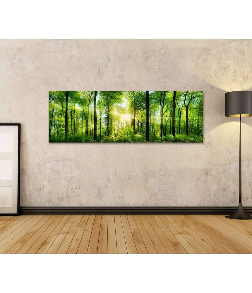 Islandburner Bild auf Leinwand Panoramabild eines frischgrünen Waldes mit Sonnenstrahlen durch Laubbäume Fabrikverkauf