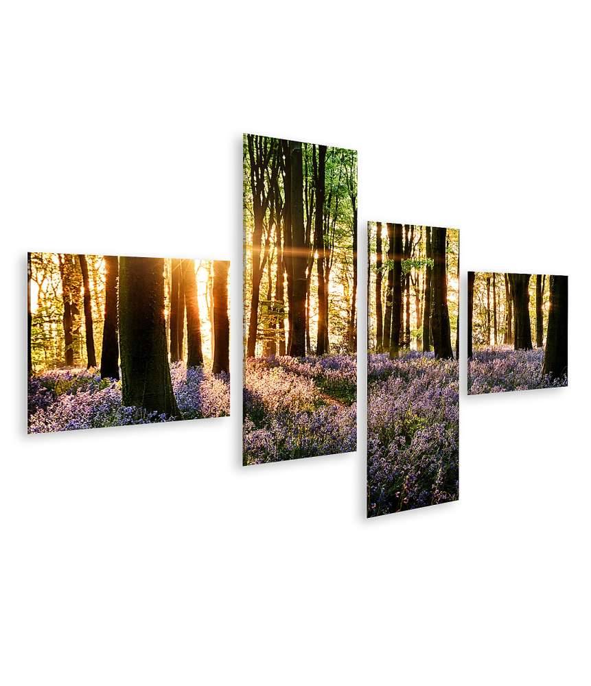 Islandburner Bild auf Leinwand Morgenlicht erweckt blühende Glockenblumen im Wald zum Leben