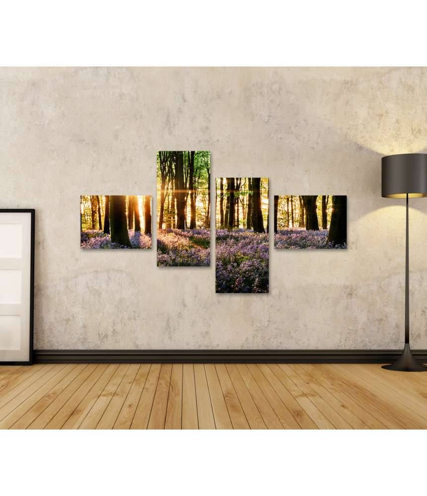 Islandburner Bild auf Leinwand Morgenlicht erweckt blühende Glockenblumen im Wald zum Leben Saisonale Angebote