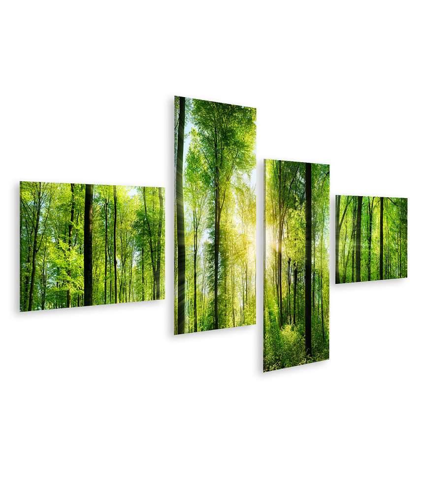 Islandburner Bild auf Leinwand Panoramabild eines frischgrünen Waldes mit Sonnenstrahlen durch Laubbäume