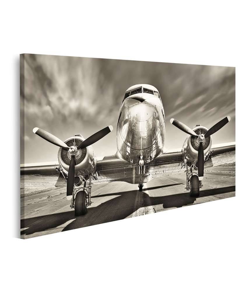 Islandburner Bild auf Leinwand Monochromes Retro-Wandbild eines Propellerflugzeugs Bis zu 55% Rabatt