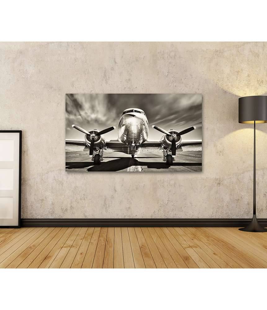 Islandburner Bild auf Leinwand Monochromes Retro-Wandbild eines Propellerflugzeugs Bis zu 55% Rabatt