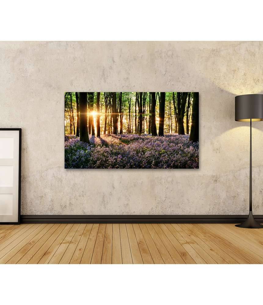 Islandburner Bild auf Leinwand Morgenlicht erweckt blühende Glockenblumen im Wald zum Leben Blitzverkäufe