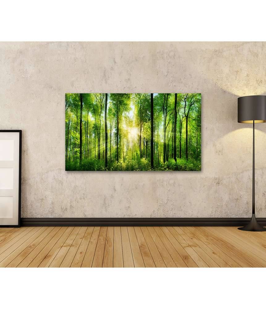 Islandburner Bild auf Leinwand Panoramabild eines frischgrünen Waldes mit Sonnenstrahlen durch Laubbäume Fabrikpreis