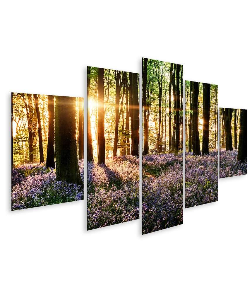 Islandburner Bild auf Leinwand Morgenlicht erweckt blühende Glockenblumen im Wald zum Leben Lagerräumung