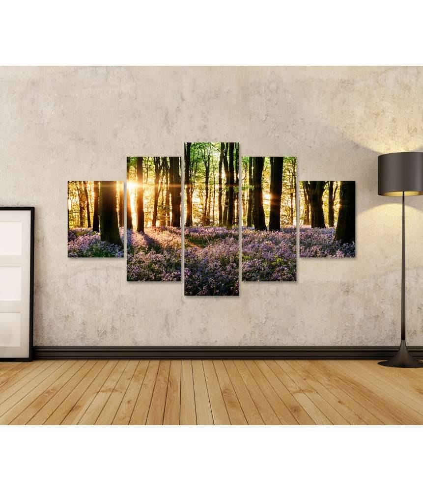 Islandburner Bild auf Leinwand Morgenlicht erweckt blühende Glockenblumen im Wald zum Leben Lagerräumung