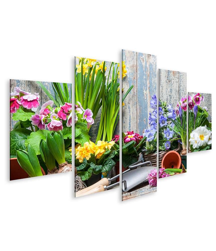 Islandburner Bild auf Leinwand Buntes Wandbild von Garten mit Frühlingsblumen für Hobbygärtner Top Angebot
