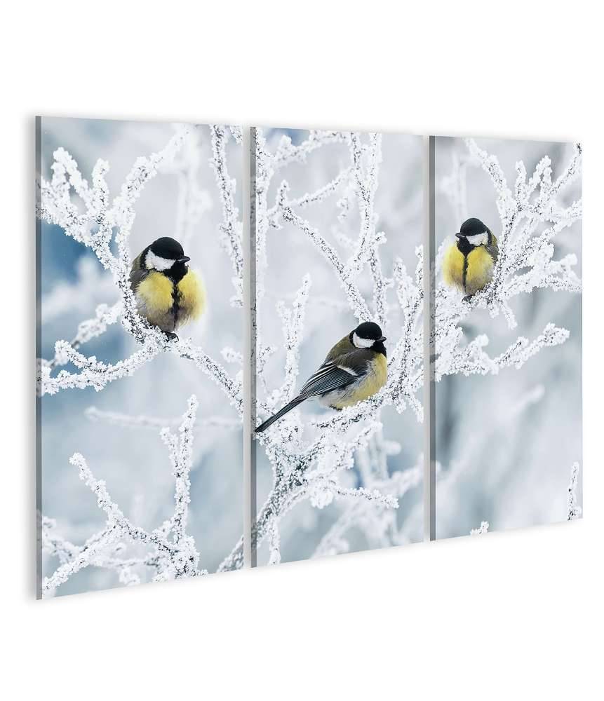 Islandburner Bild auf Leinwand Frostbedeckte Zweige mit Vögeln im winterlichen Garten als Wandbild Letzte 3 Tage