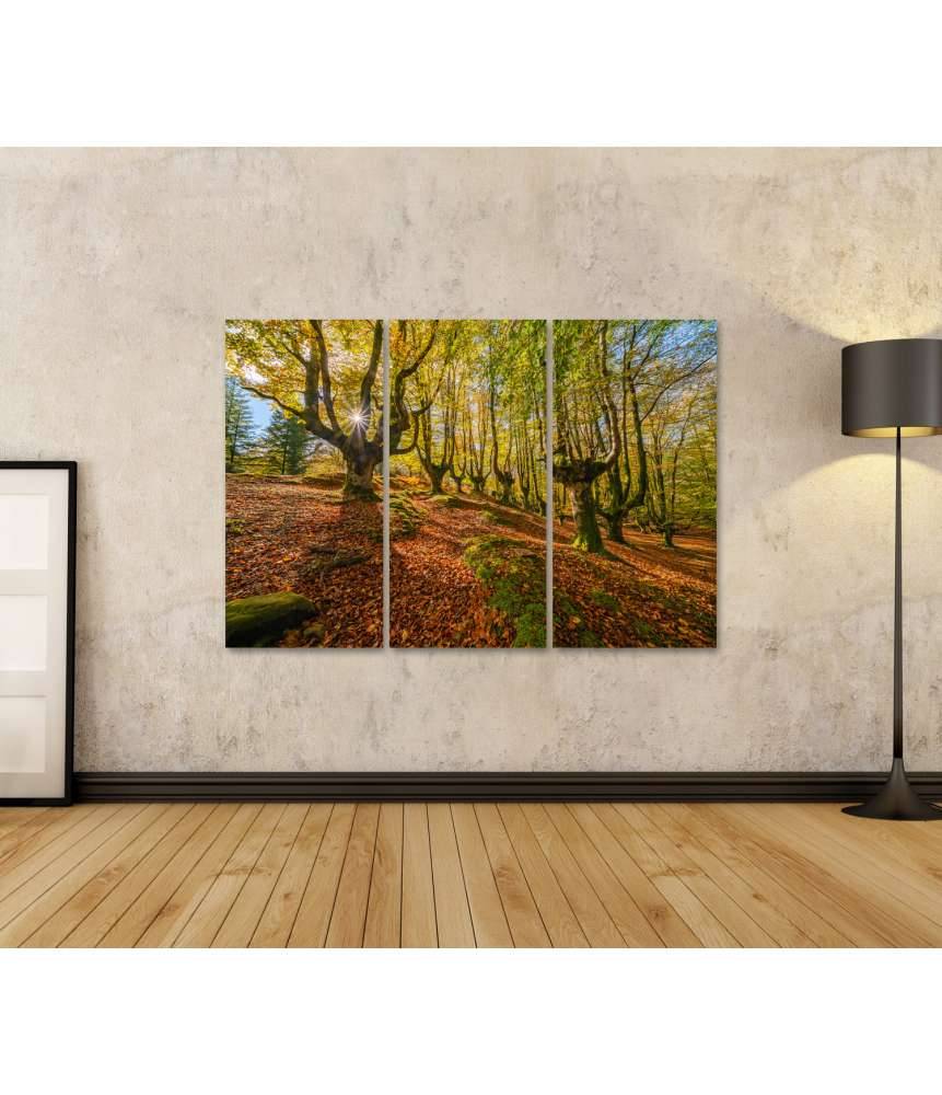 Islandburner Bild auf Leinwand Mystischer Otzarreta Wald im Gorbea Naturpark, Bizkaia, Baskenland Neueste Stile
