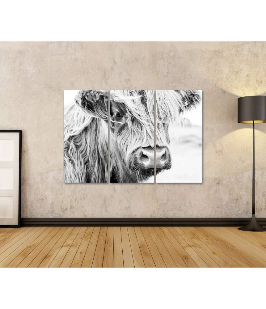 Islandburner Bild auf Leinwand Monochromes Wandbild einer schottischen Kuh auf einer Wiese Nur für heute