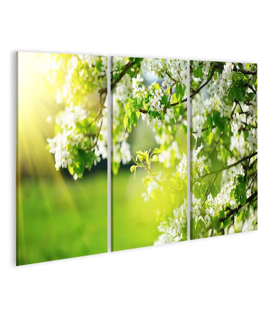 Islandburner Bild auf Leinwand Frühlingshaftes Wandbild mit blühendem Baum und Sonnenaufgang 50% Rabatt mit kostenlosem Versand