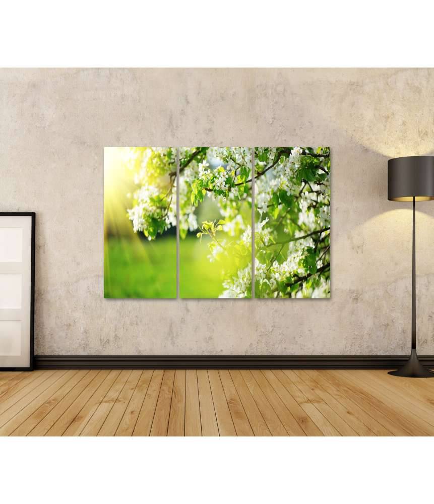 Islandburner Bild auf Leinwand Frühlingshaftes Wandbild mit blühendem Baum und Sonnenaufgang 50% Rabatt mit kostenlosem Versand