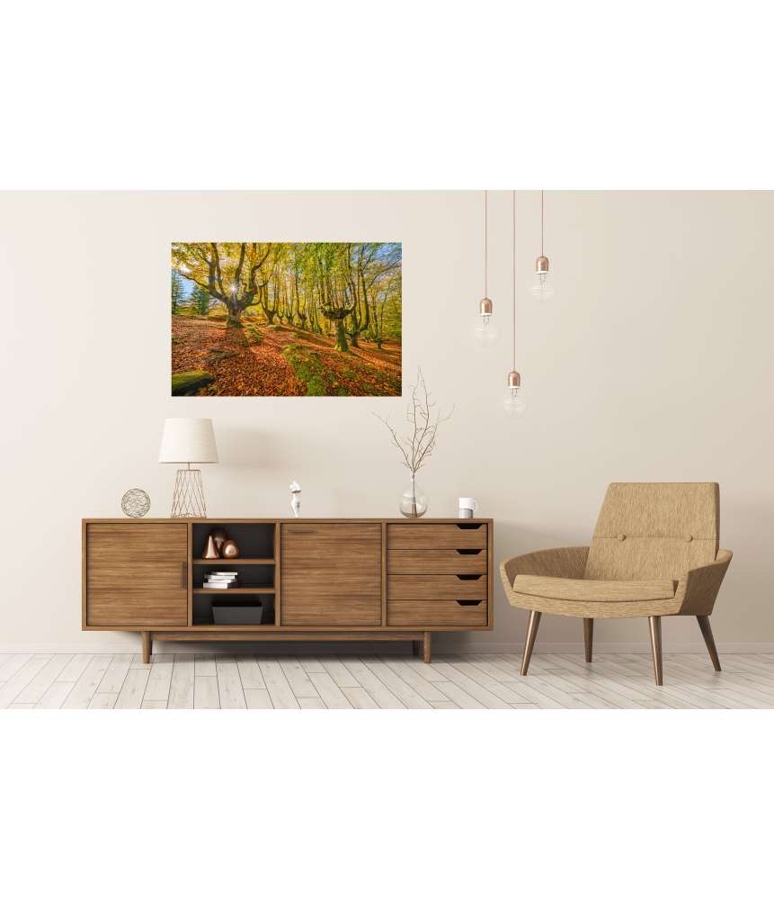 Islandburner XXL Premium Poster Mystischer Otzarreta Wald im Gorbea Naturpark, Bizkaia, Baskenland 50% Rabatt für begrenzte Zeit