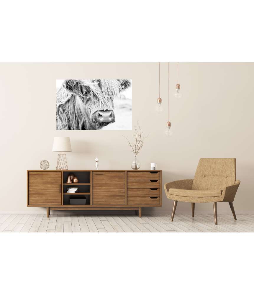 Islandburner XXL Premium Poster Monochromes Wandbild einer schottischen Kuh auf einer Wiese Angebote