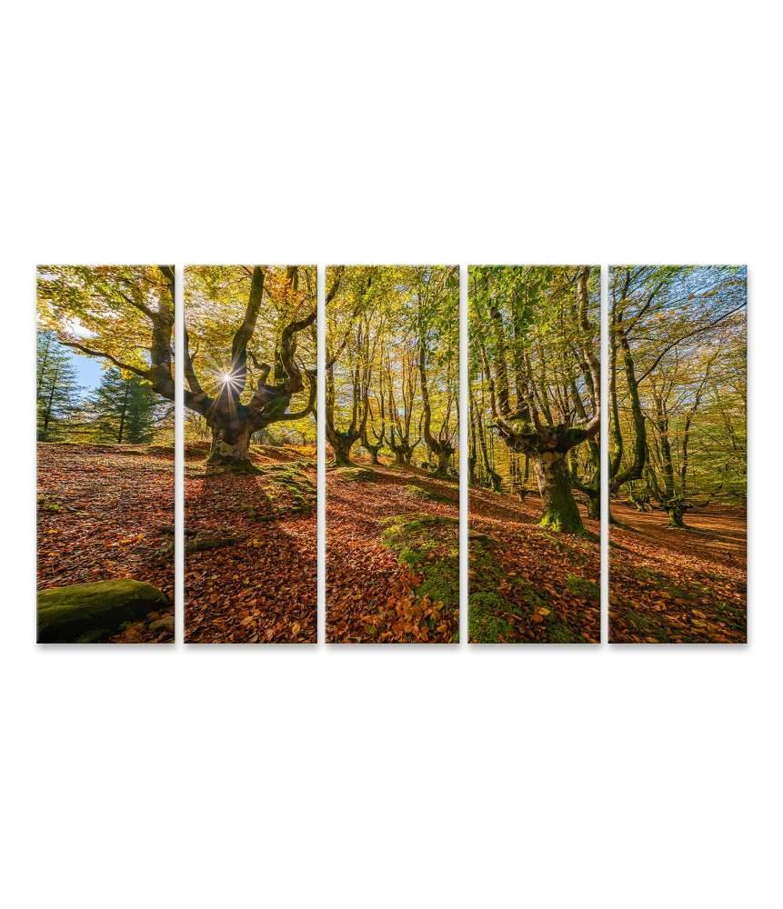 Islandburner Bild auf Leinwand Mystischer Otzarreta Wald im Gorbea Naturpark, Bizkaia, Baskenland Flash Sale
