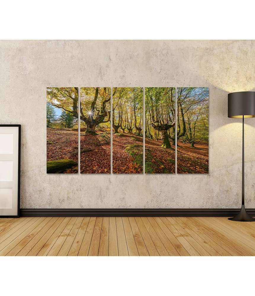 Islandburner Bild auf Leinwand Mystischer Otzarreta Wald im Gorbea Naturpark, Bizkaia, Baskenland Flash Sale