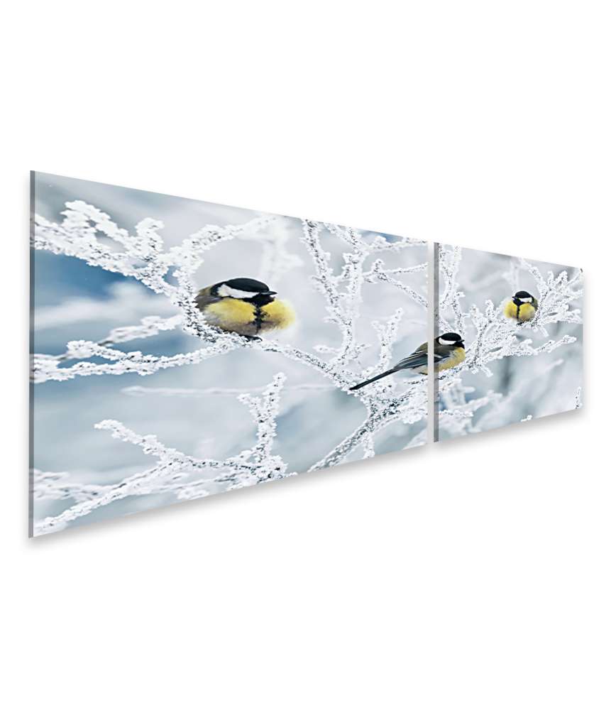 Islandburner Bild auf Leinwand Frostbedeckte Zweige mit Vögeln im winterlichen Garten als Wandbild Muttertagsangebot
