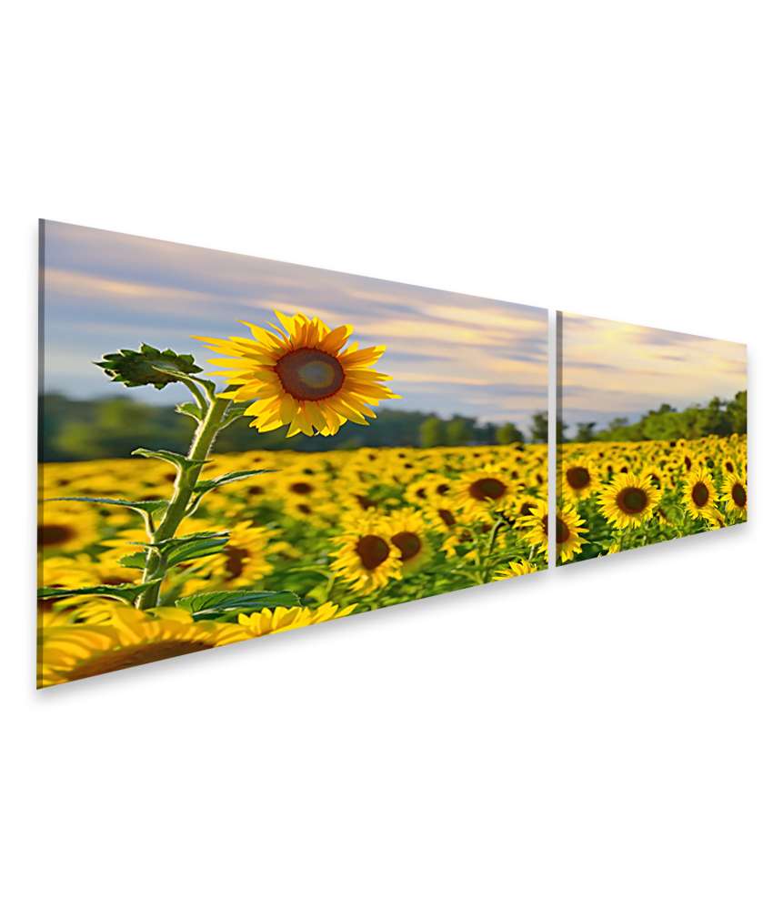 Islandburner Bild auf Leinwand Prächtiges Wandbild eines Sonnenblumenfelds bei zauberhaftem Abendhimmel