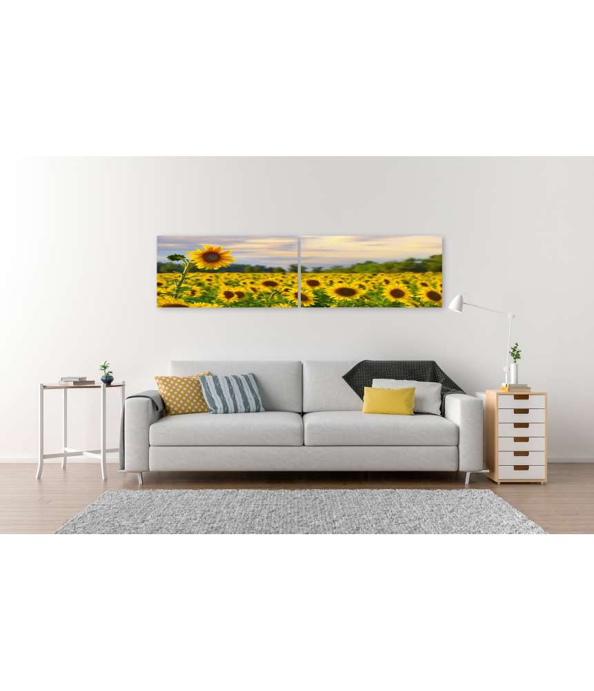 Islandburner Bild auf Leinwand Prächtiges Wandbild eines Sonnenblumenfelds bei zauberhaftem Abendhimmel Zeitlich begrenztes Angebot