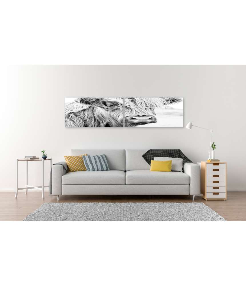 Islandburner Bild auf Leinwand Monochromes Wandbild einer schottischen Kuh auf einer Wiese Exklusive Angebote