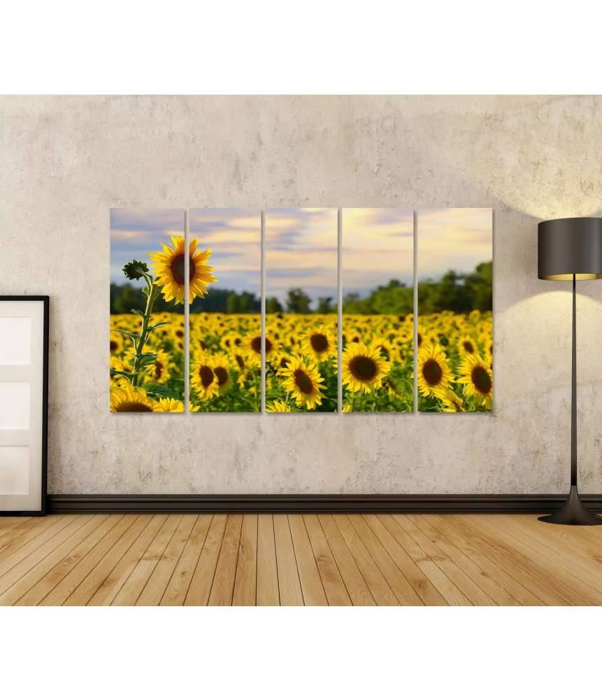 Islandburner Bild auf Leinwand Prächtiges Wandbild eines Sonnenblumenfelds bei zauberhaftem Abendhimmel VIP-Rabatte