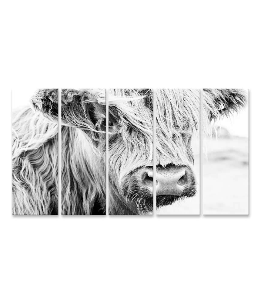 Islandburner Bild auf Leinwand Monochromes Wandbild einer schottischen Kuh auf einer Wiese Tiefpreis