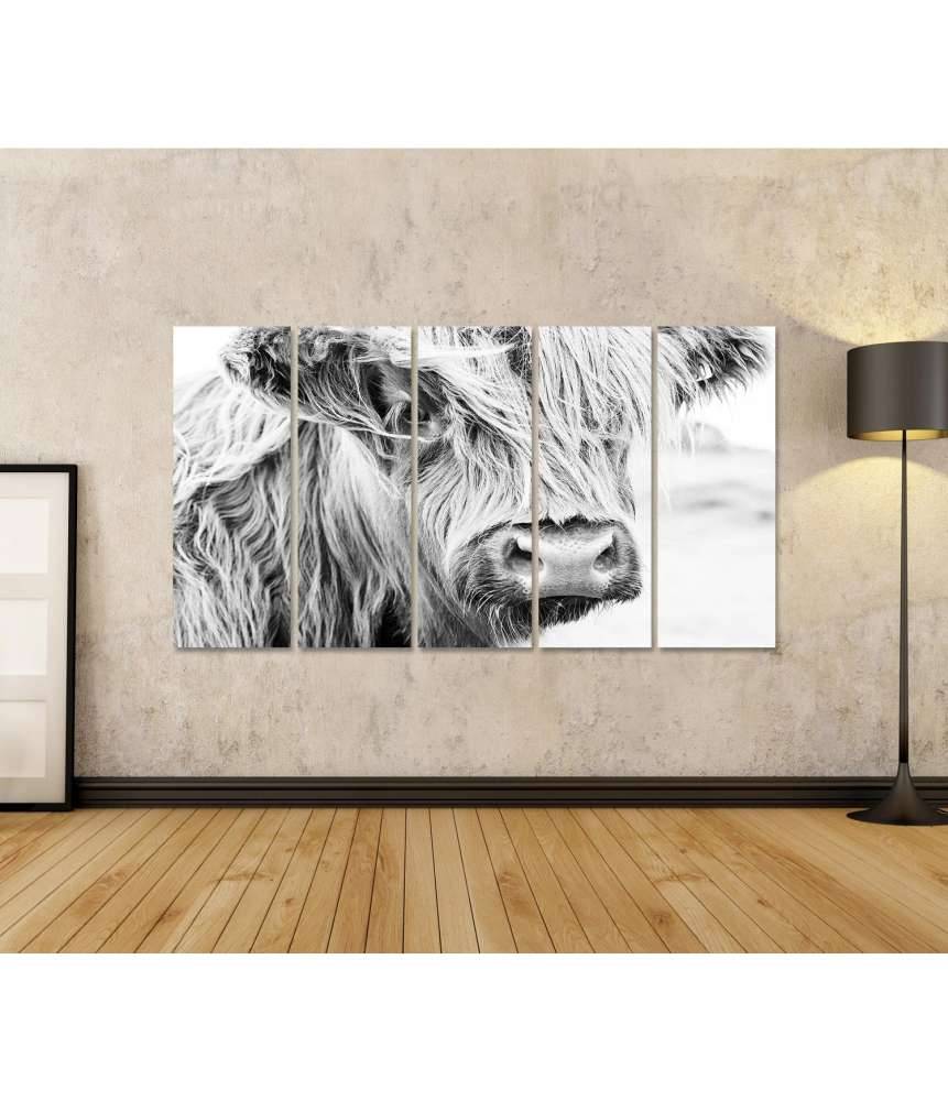Islandburner Bild auf Leinwand Monochromes Wandbild einer schottischen Kuh auf einer Wiese Tiefpreis
