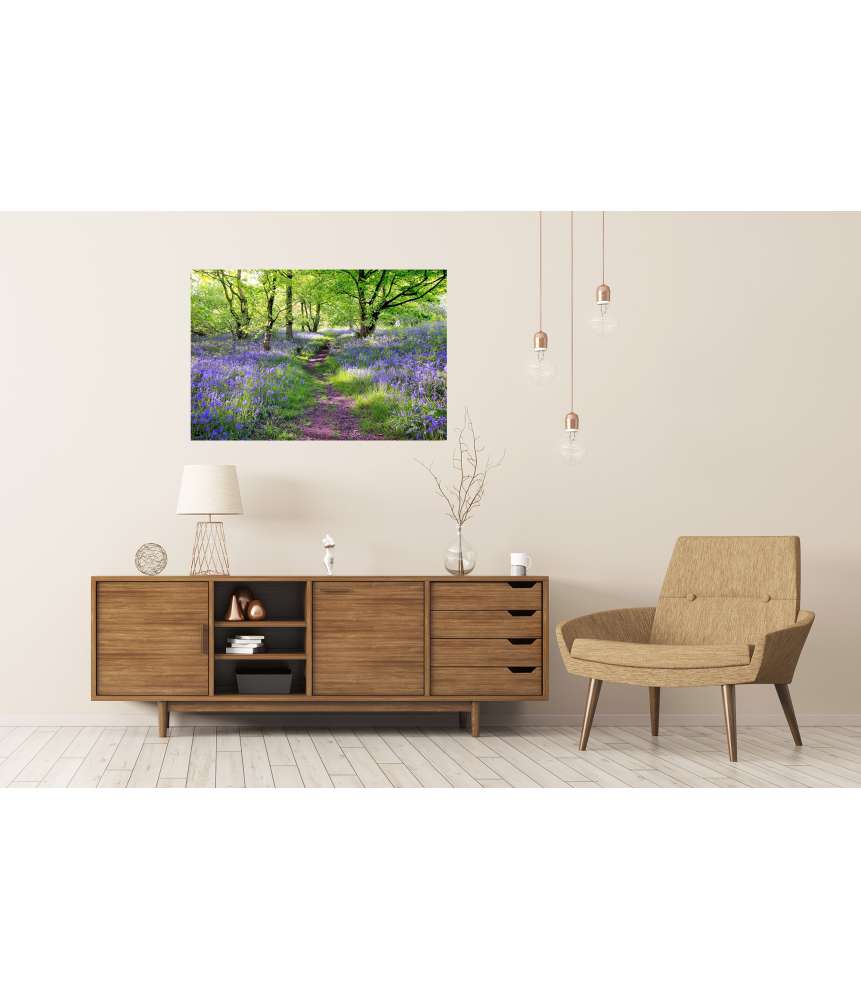 Islandburner Premium Poster Schottische Wiese mit blauen Glockenblumen - Wandbild Bis zu 55% Rabatt