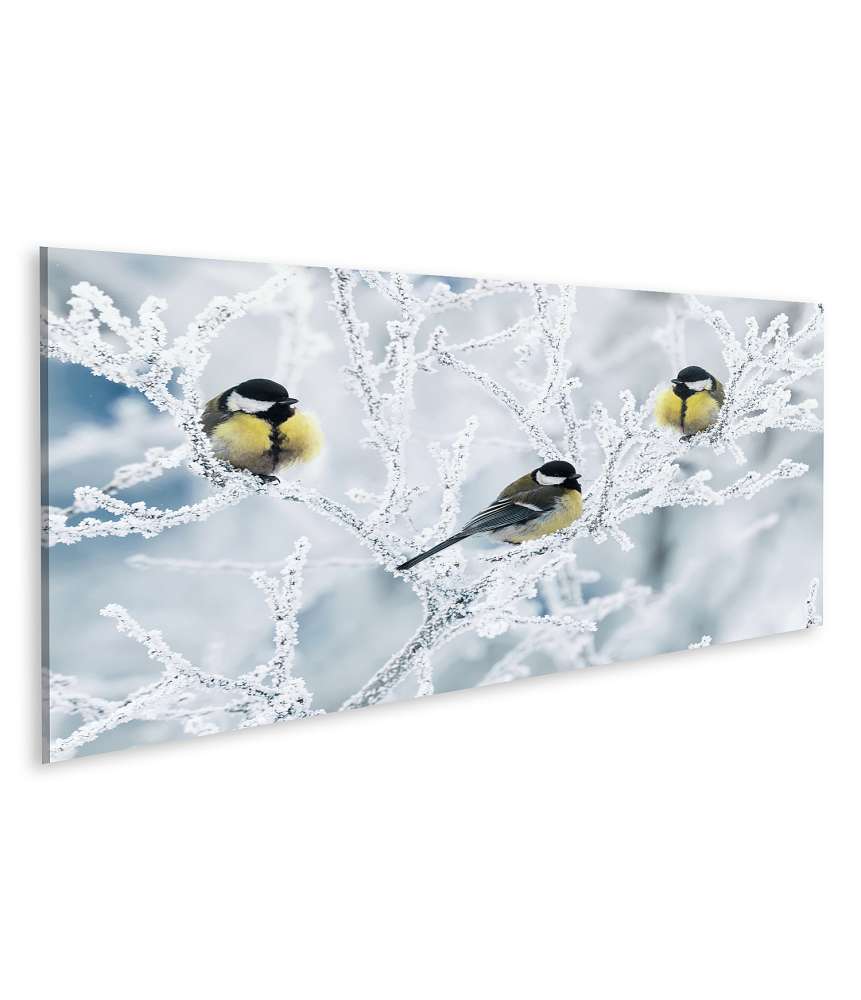 Islandburner Bild auf Leinwand Frostbedeckte Zweige mit Vögeln im winterlichen Garten als Wandbild Begrenzt auf 3 Tage